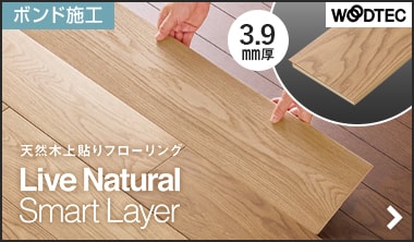 ライブナチュラルMSX スマートレイヤー