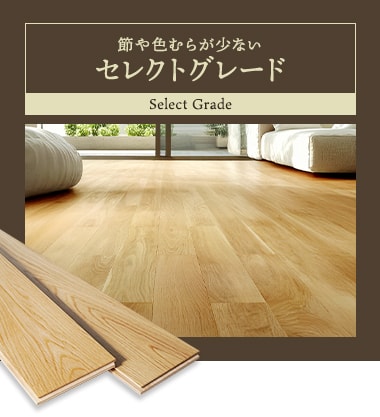 セレクトグレード