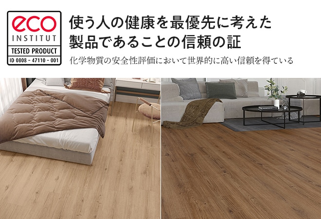 エコインスティテュート(eco-INSTITUT)