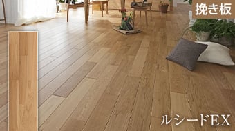 ルシードEX オーク