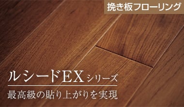 ルシードEX