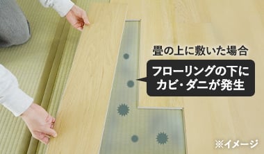 カビやダニが発生しやすい