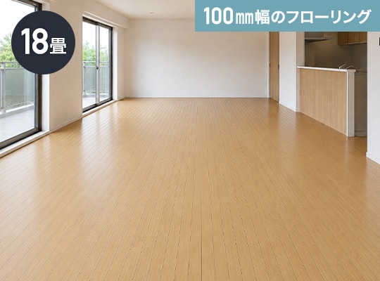 板幅100mm