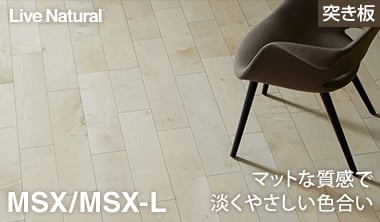 MSX/MSX-L