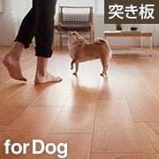 ライブナチュラルforDog 2P