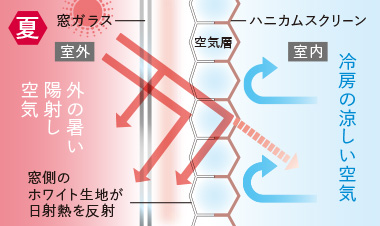 遮熱性能が約56