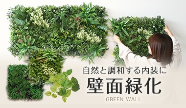 壁面緑化