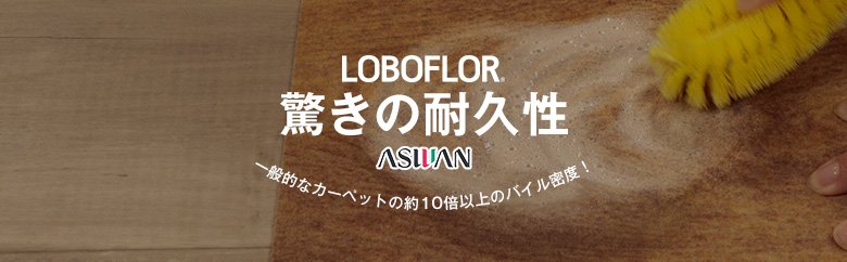 LOBOFLOR（ロボフロアー） 驚きの耐久性