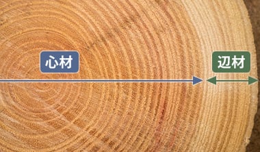 辺材と心材による違い