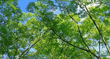 室内の空気をマイナスイオン化