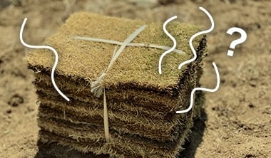 カビのようなにおいを発する
