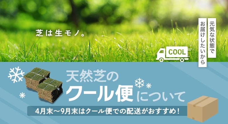 天然芝のクール便について