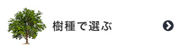 樹種で選ぶ