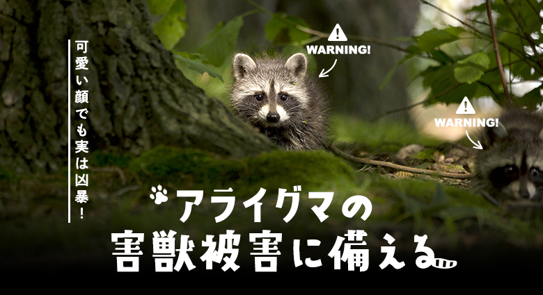 カラスよけにおすすめのネットとは?