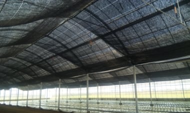 農業用遮光・遮熱ネット