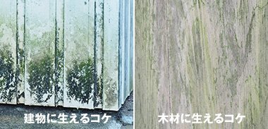 木材用と建物用を使い分け