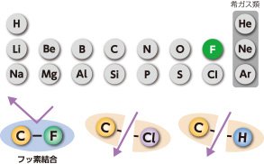 フッ素結合
