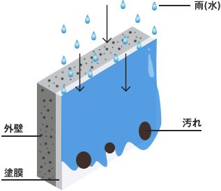 親水性の塗膜