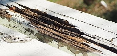木材の菌を増殖させない
