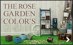 THE ROSE GARDEN COLORS