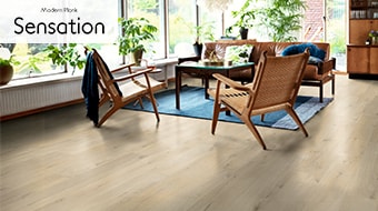 センセーションシリーズ