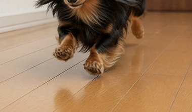 犬がフローリングで滑ると危険