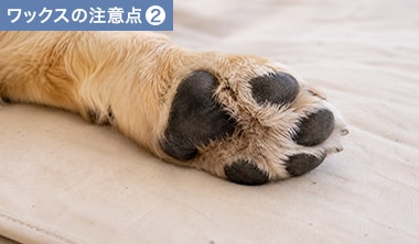 犬の肉球周りの毛