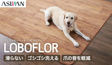 LOBOFLOR（ロボフロアー）
