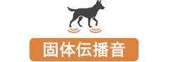 個体伝播音