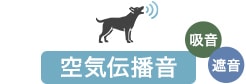 空気伝播音