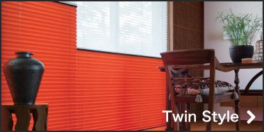 Twin Style