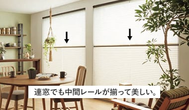 連窓でも中間レールが揃って美しい。