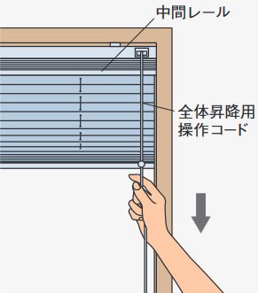 生地全体の昇降