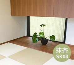 抹茶SK03