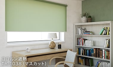 賃貸にはカーテンレール付けで