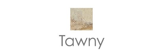 タウニー