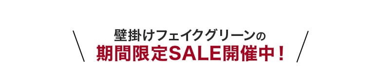 期間限定SALE開催中!