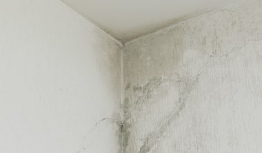 壁紙の劣化の原因