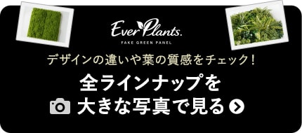 全ラインナップを大きな写真で見る