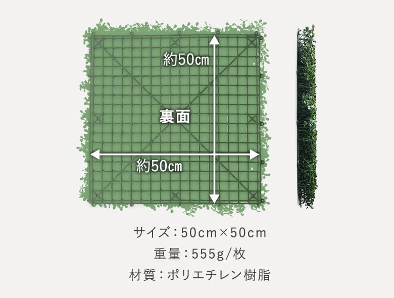 ボックスウッド 商品画像