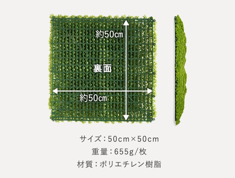グリーンモス 商品画像