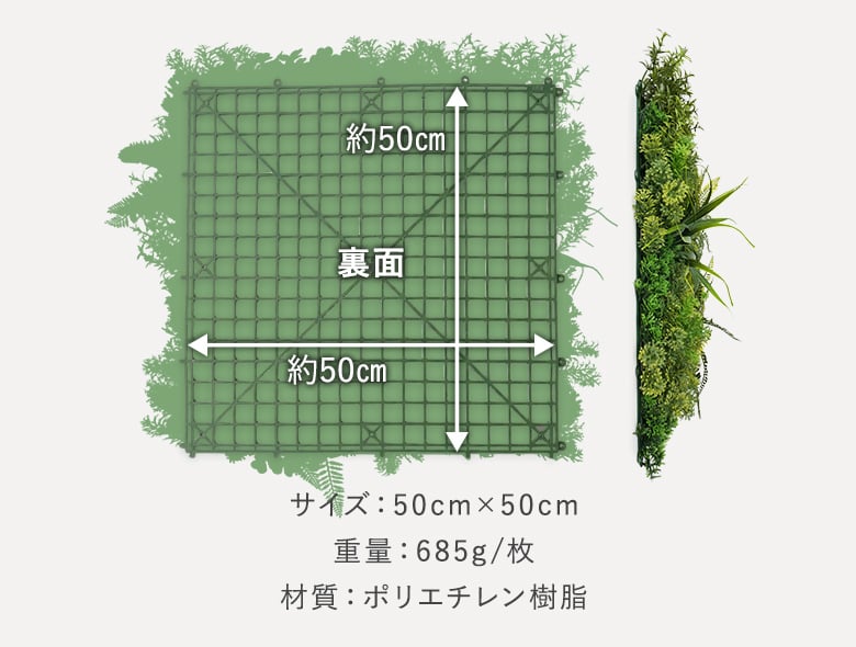 フォレストリーフ 商品画像