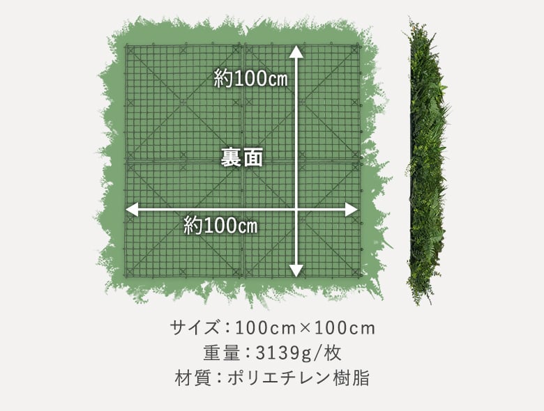 エバーグリーンガーデン 商品画像