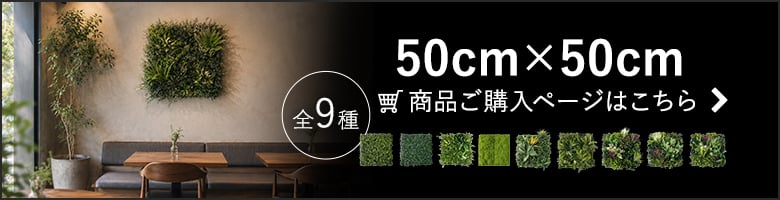 エバープランツ50cm×50cmサイズ一覧