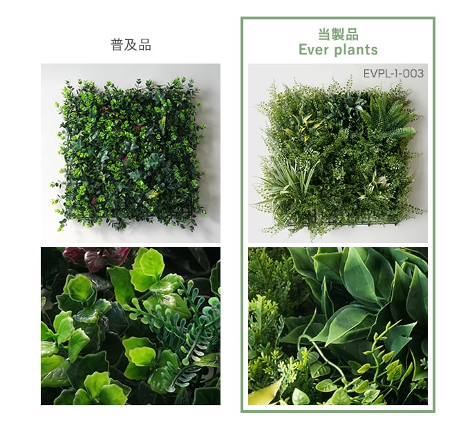 普及品との比較