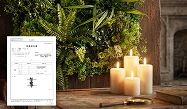 燃焼性試験結果