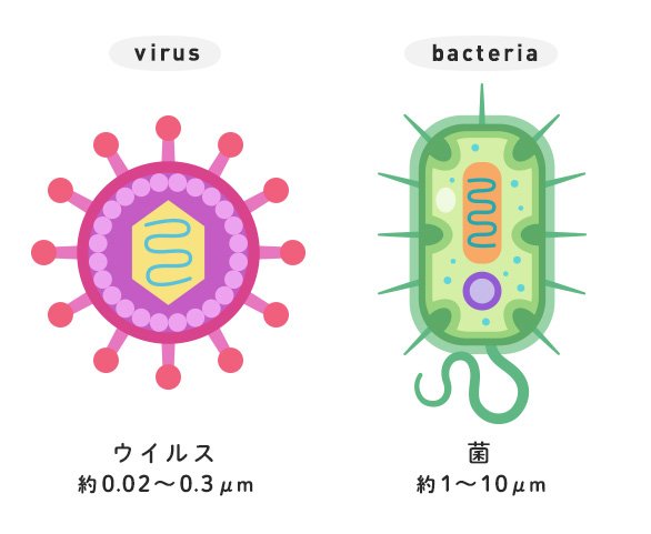 菌とウイルス