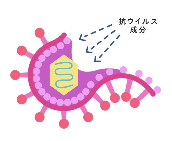 抗ウイルス成分によって表面の組織を分解