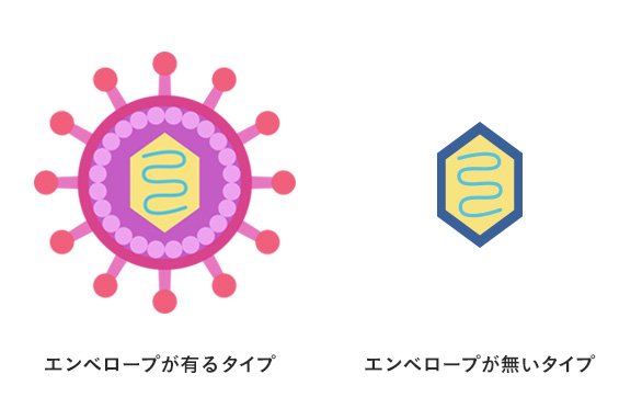 エンベロープが有るタイプと無いタイプ