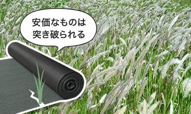 安価なものは突き破られる